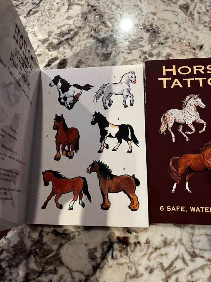 Informational coloring book