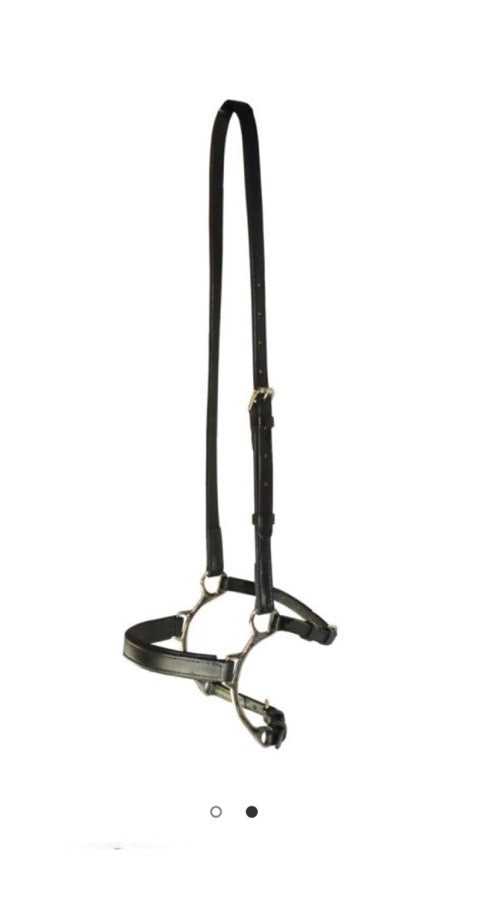 Lever Anti-pull Noseband