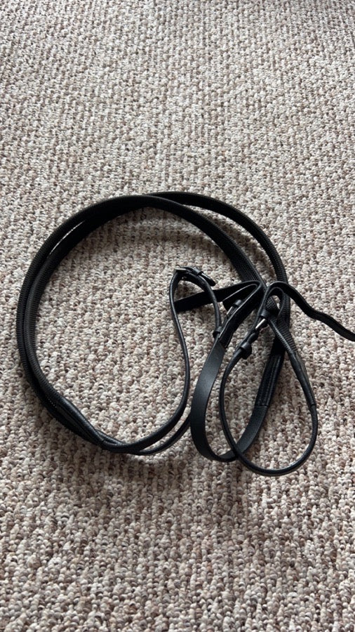 Passier bridle w/reins