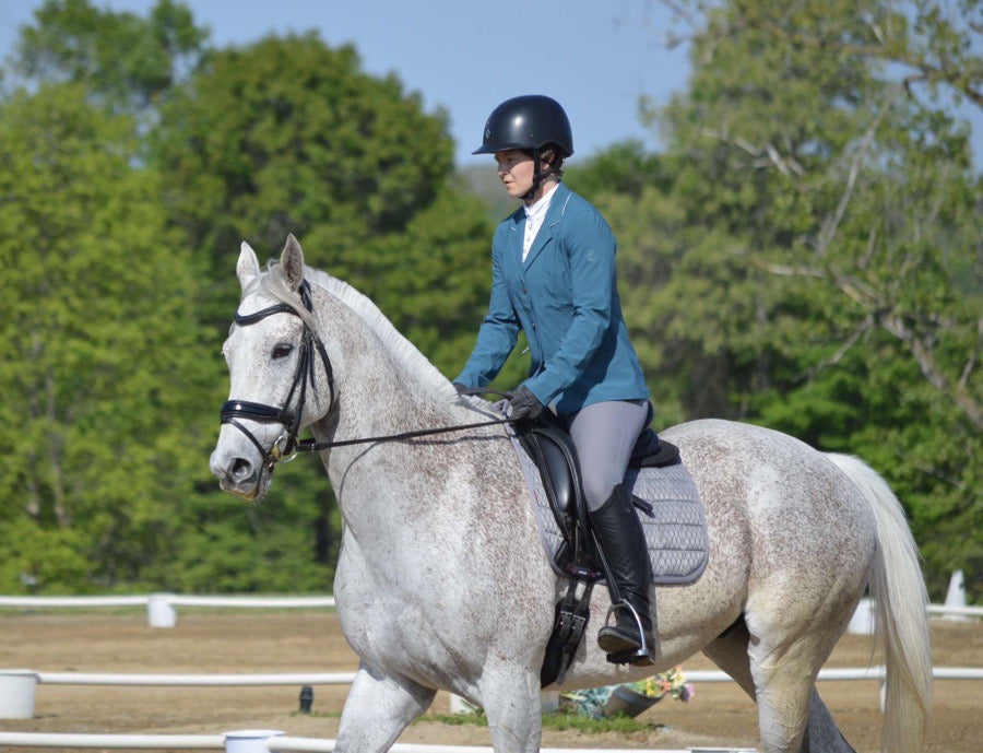 Passier bridle w/reins
