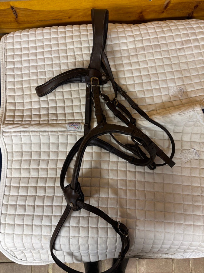 Antares Origin Figure 8 Anatomic Bridle