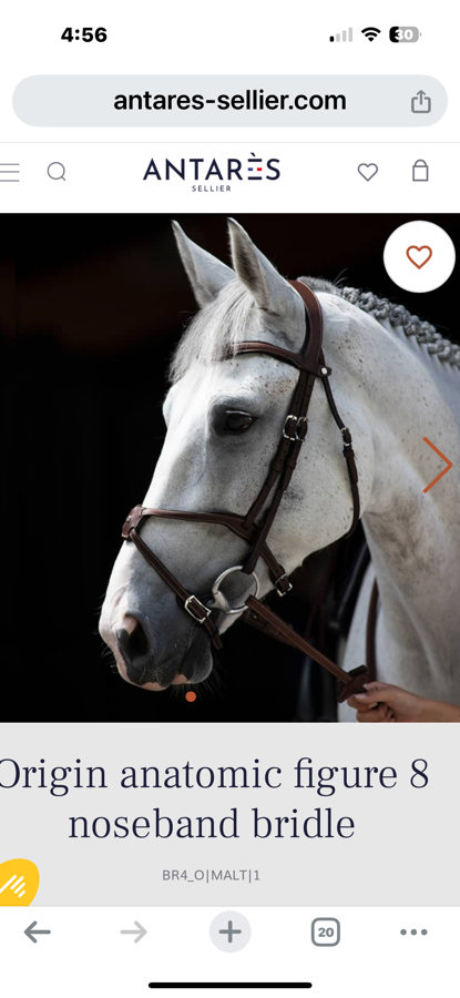 Antares Origin Figure 8 Anatomic Bridle