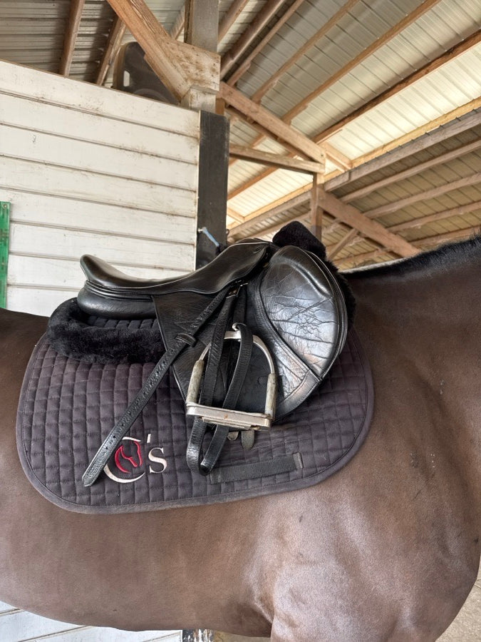 SANTA CRUZ Santa Cruz closecontact saddle