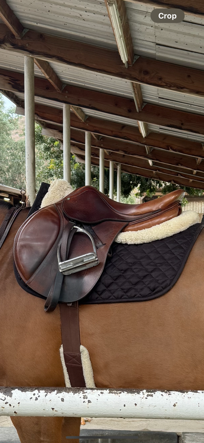 Antares Jumping Saddle