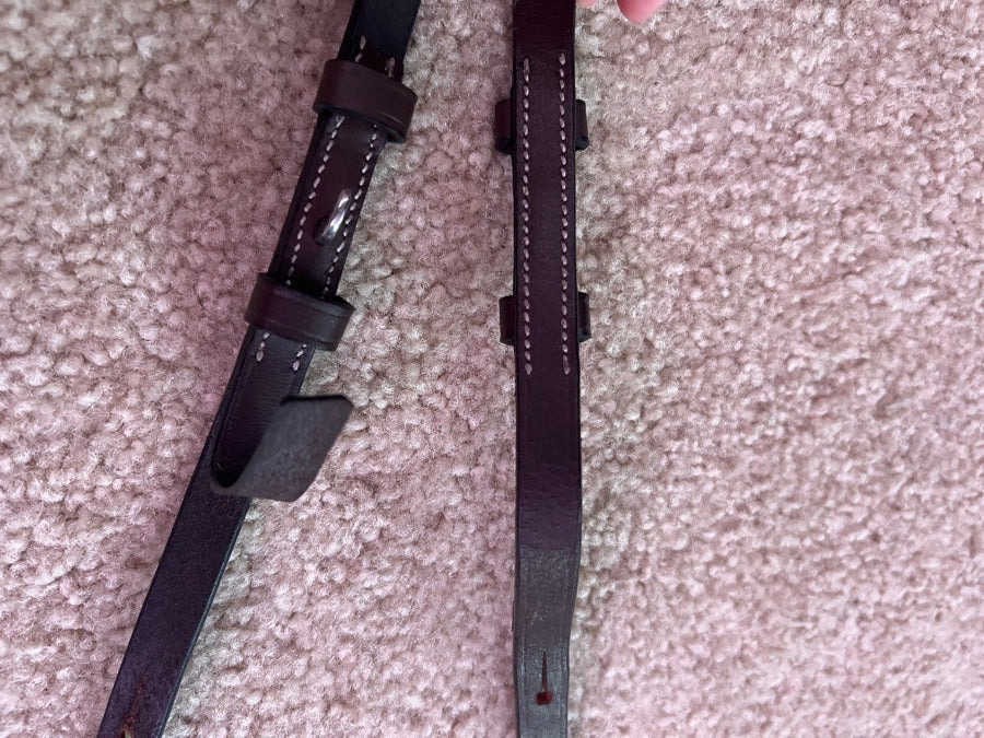 Broken *FIXABLE* reins