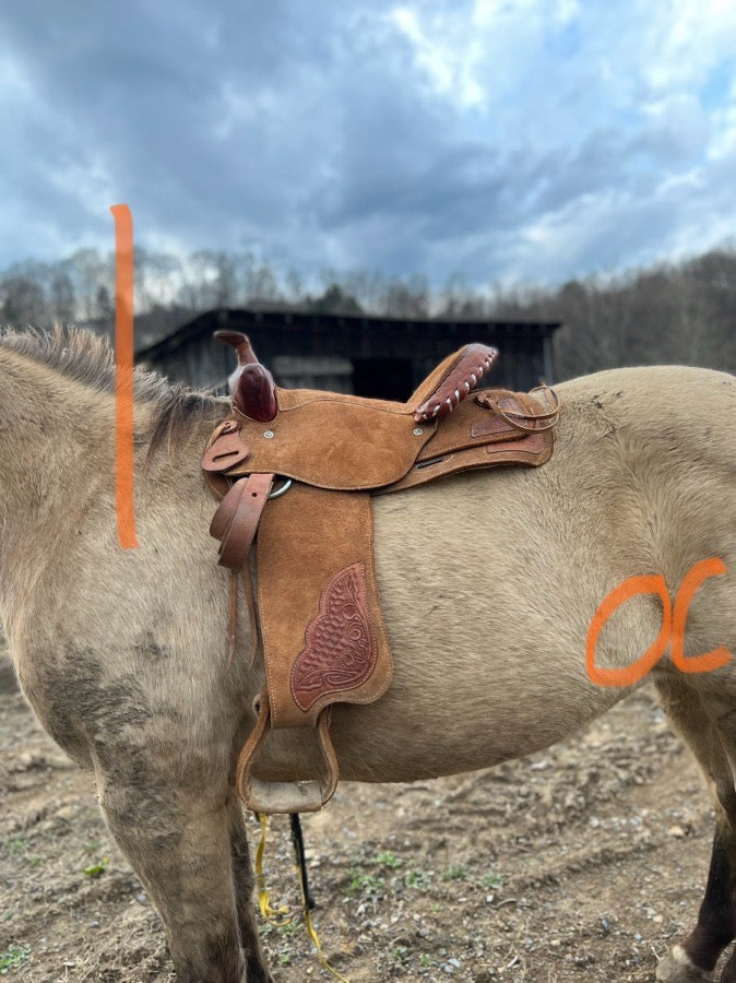 Unmarked trail saddle