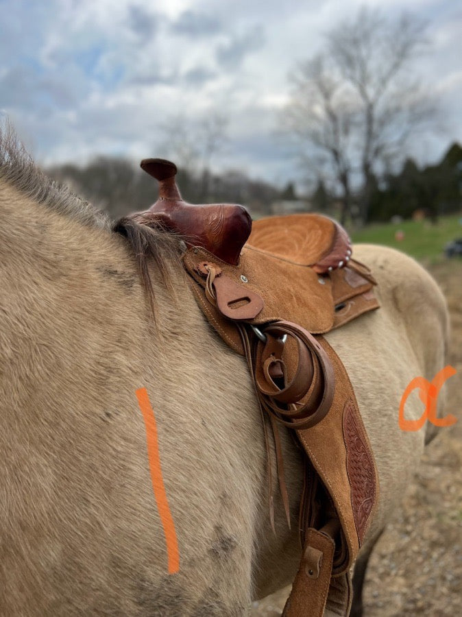 Unmarked trail saddle