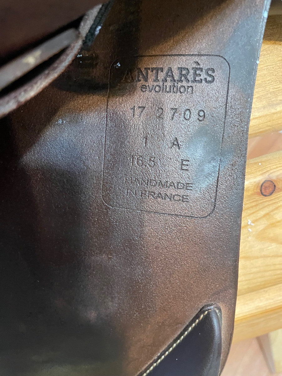 ANTARES 16.5” Antares Saddle (3)