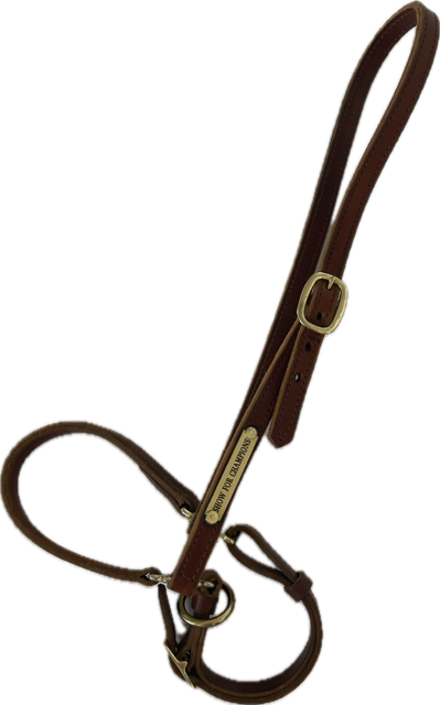 GROOMING BRIDLE LEATHER HALTER - FULL