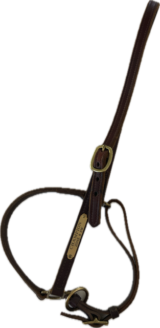 GROOMING BRIDLE LEATHER HALTER - FULL