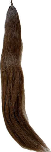 Horse Tail Extension - Chestnut