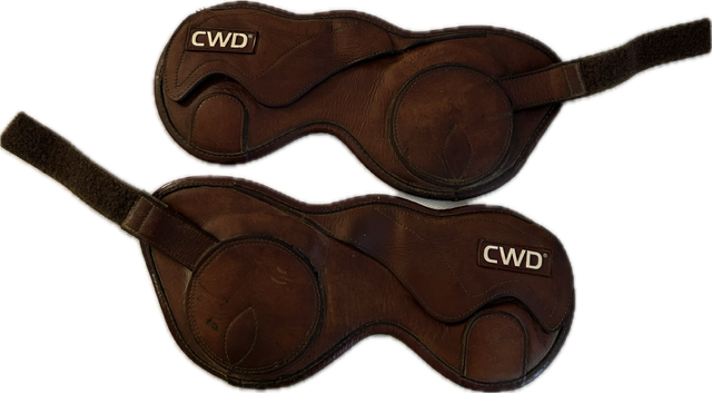 CWD Velcro fetlock boots young horse