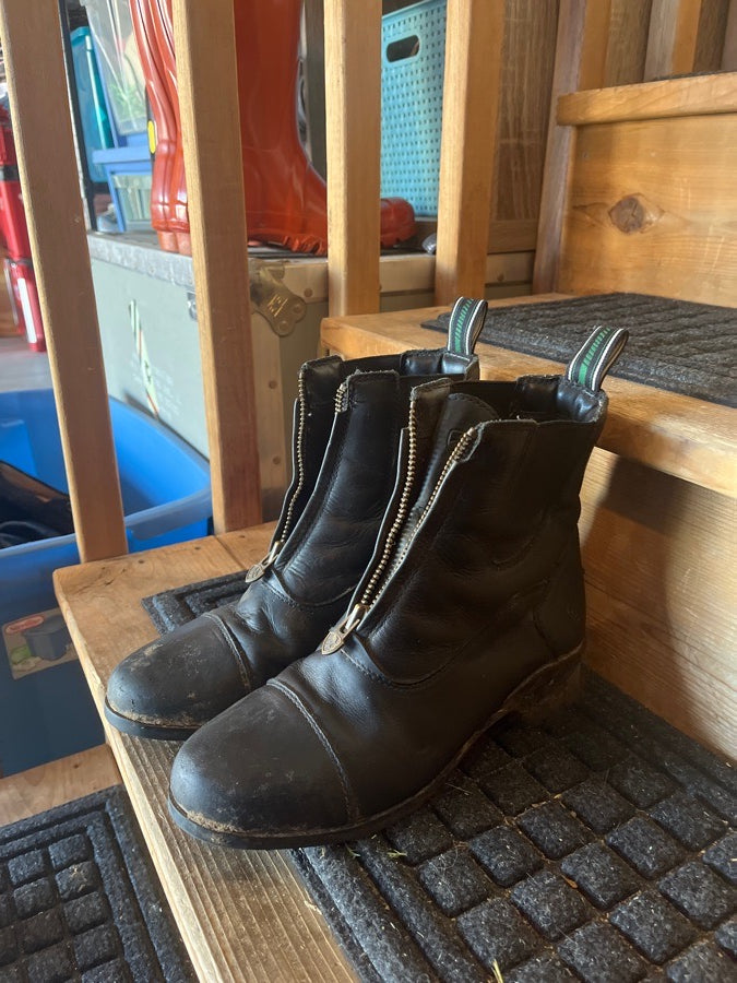 Ariat Paddock boots