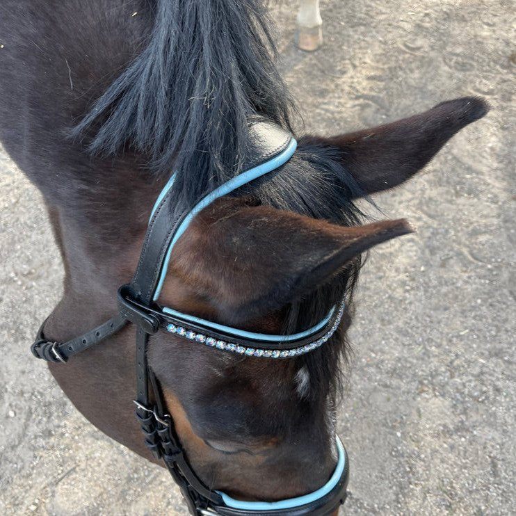 NQP Caspian - Black Rolled Leather Snaffle Bridle with Sky Blue Padding