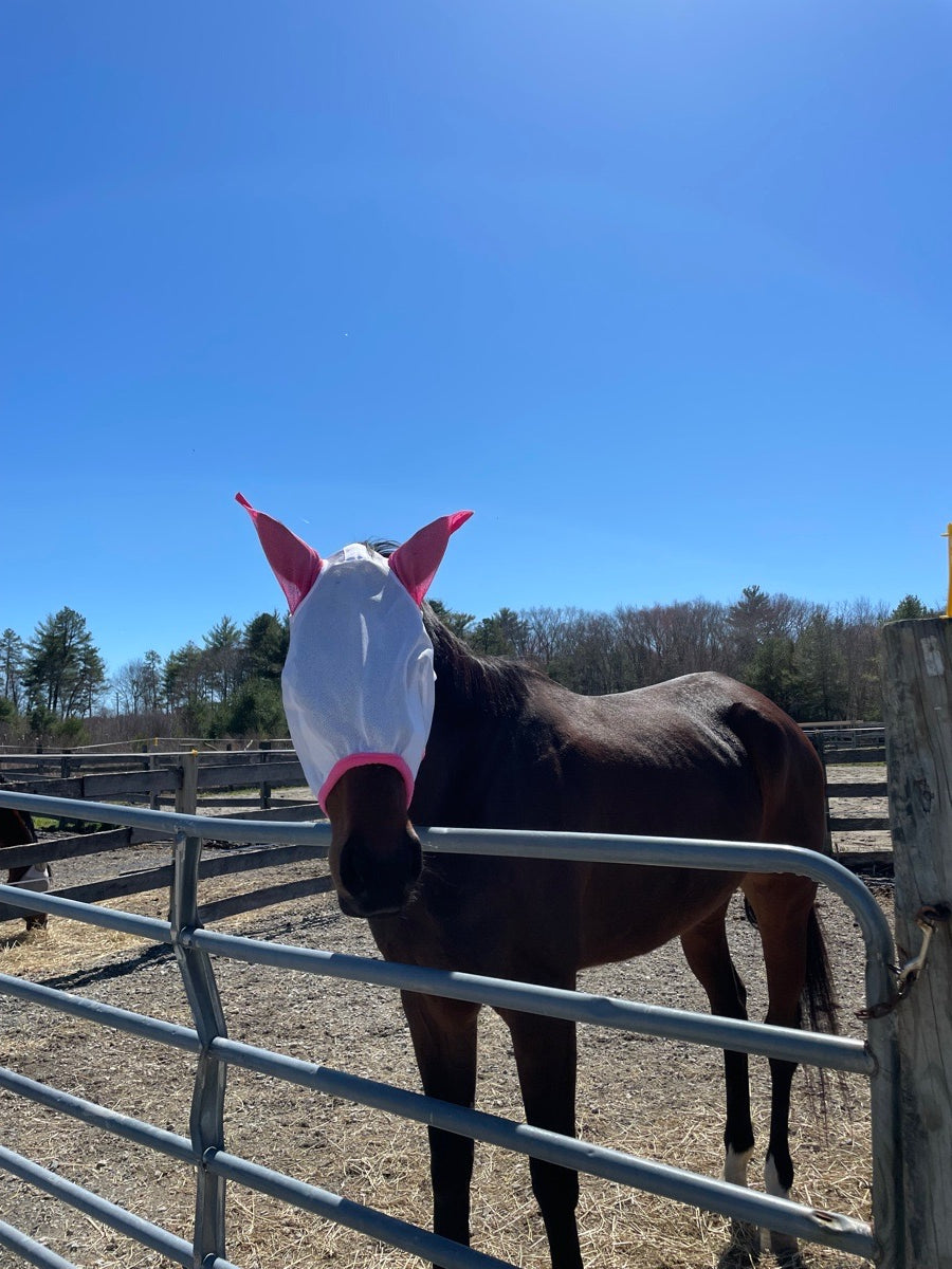 Dura-Tech® Full Size Fly Mask