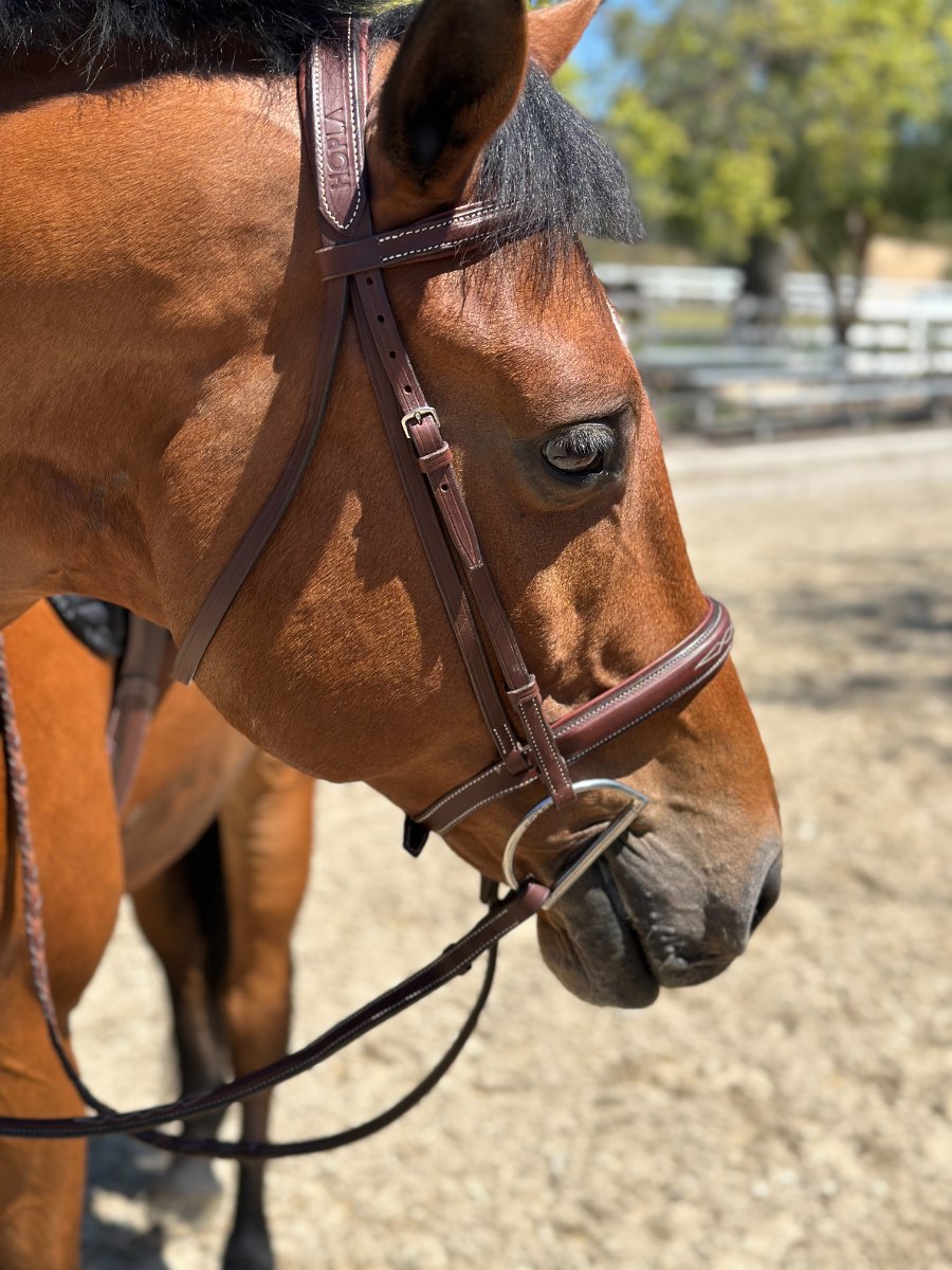 HOP LA Sellerie Hunter Bridle With Fancy Stitching