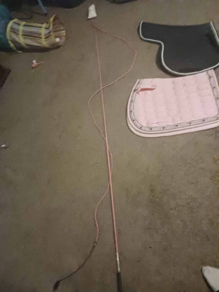 Pink lunge whip