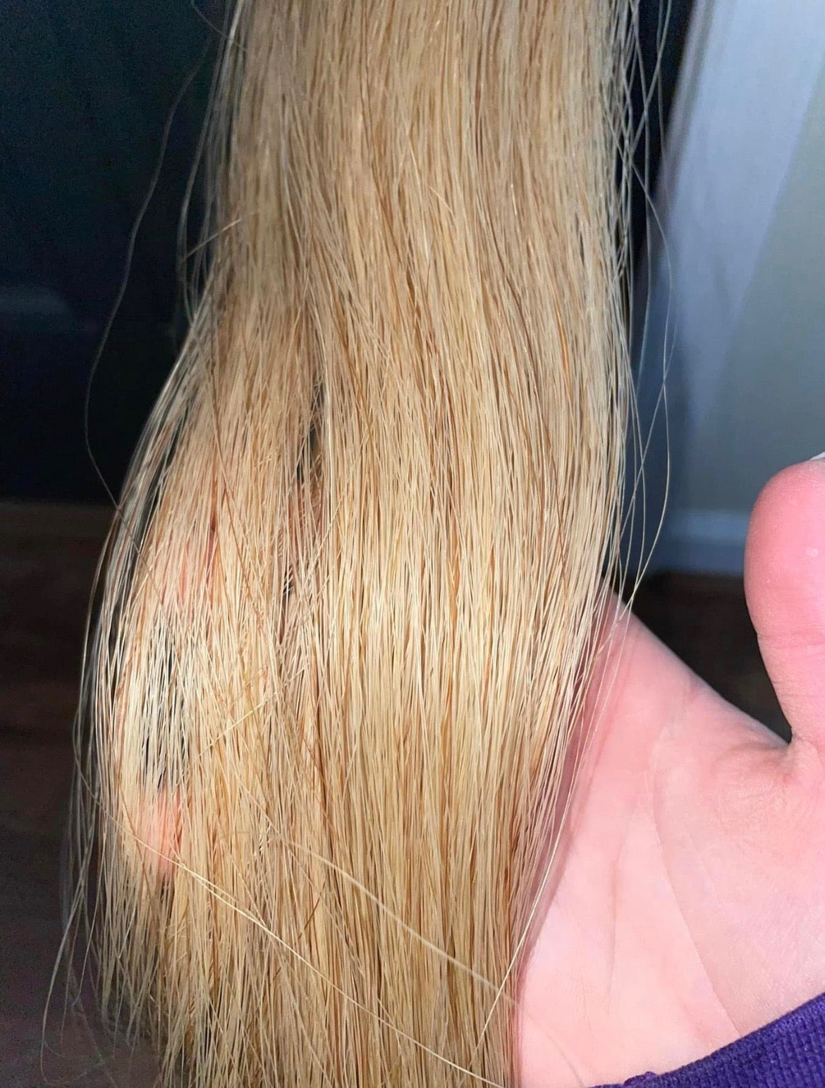 Mixed Flaxen Tail Extension