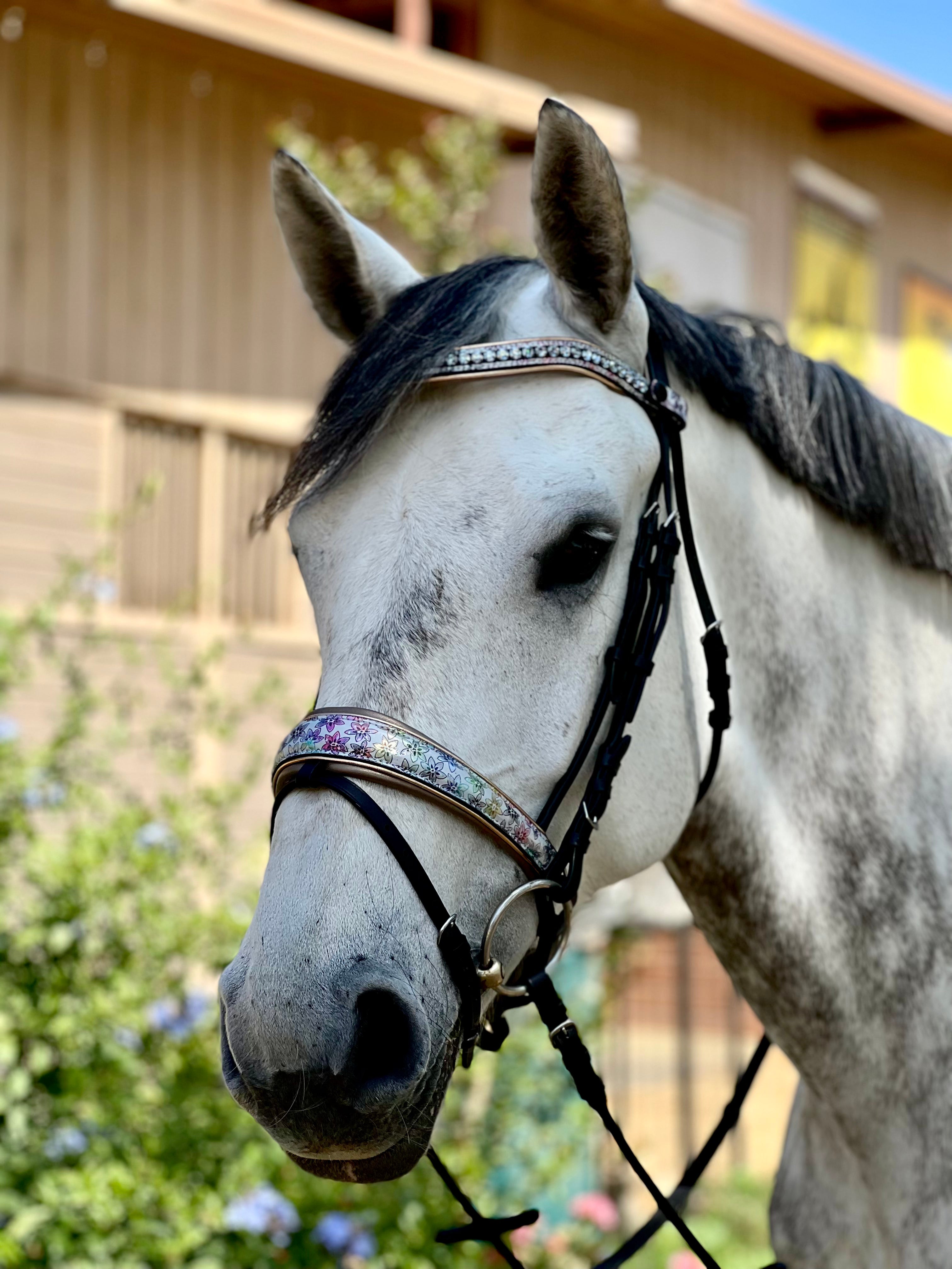 Limited Edition Versailles Bridle
