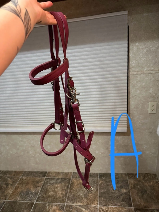 Purple synthetic bridle