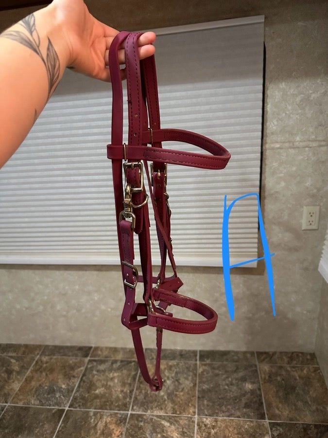 Purple synthetic bridle