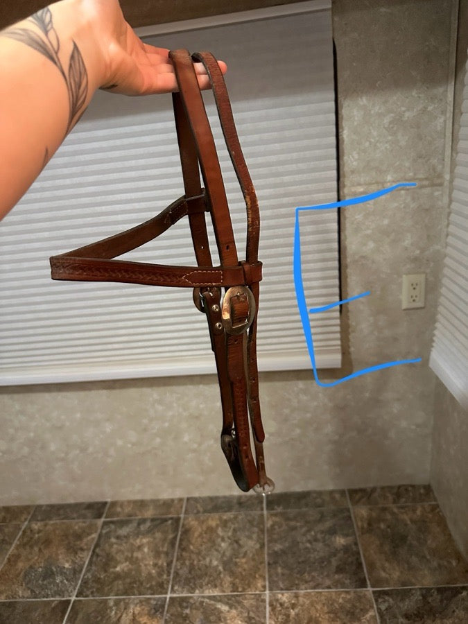Brown leather bridle