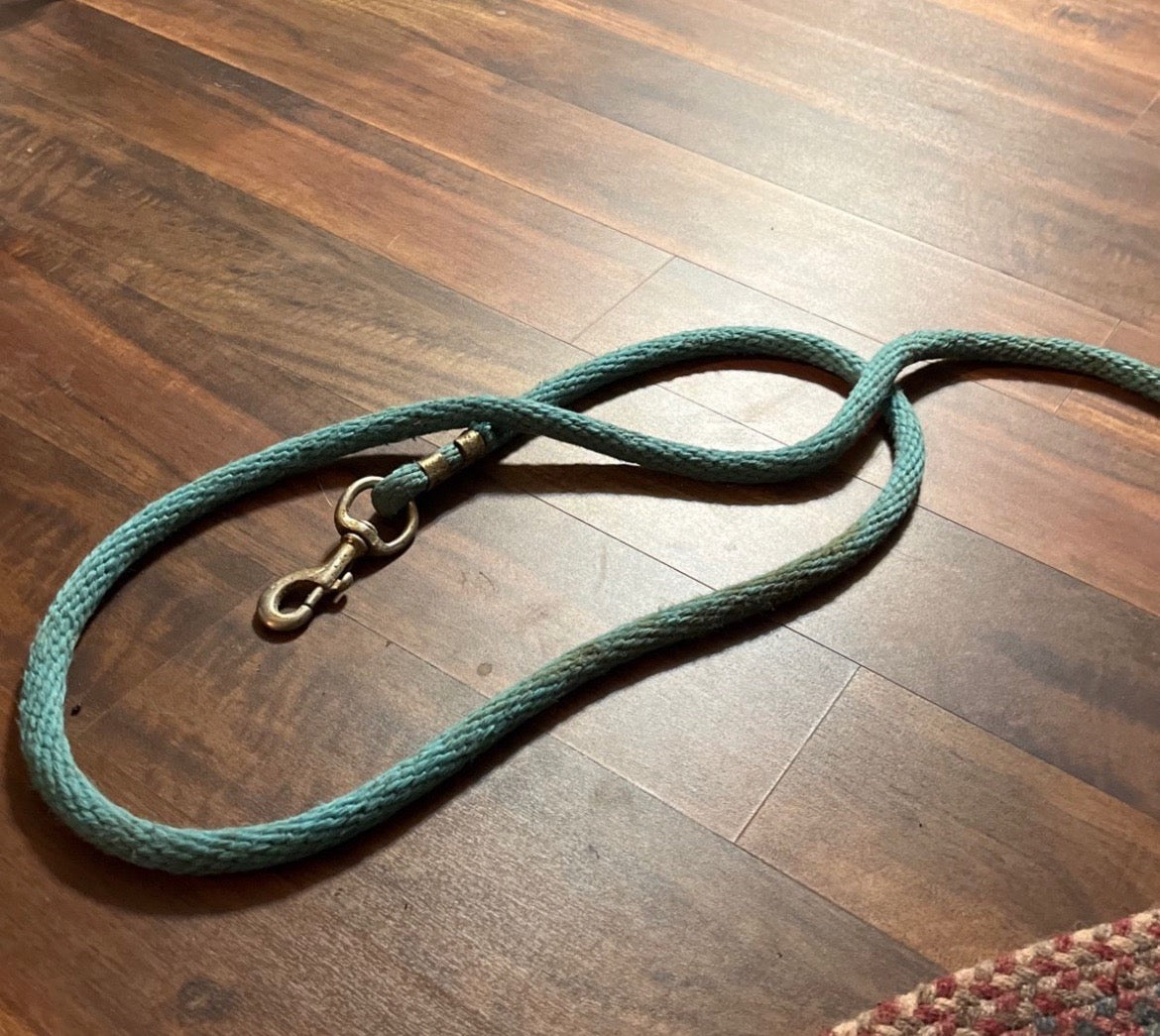Turquoise lead rope