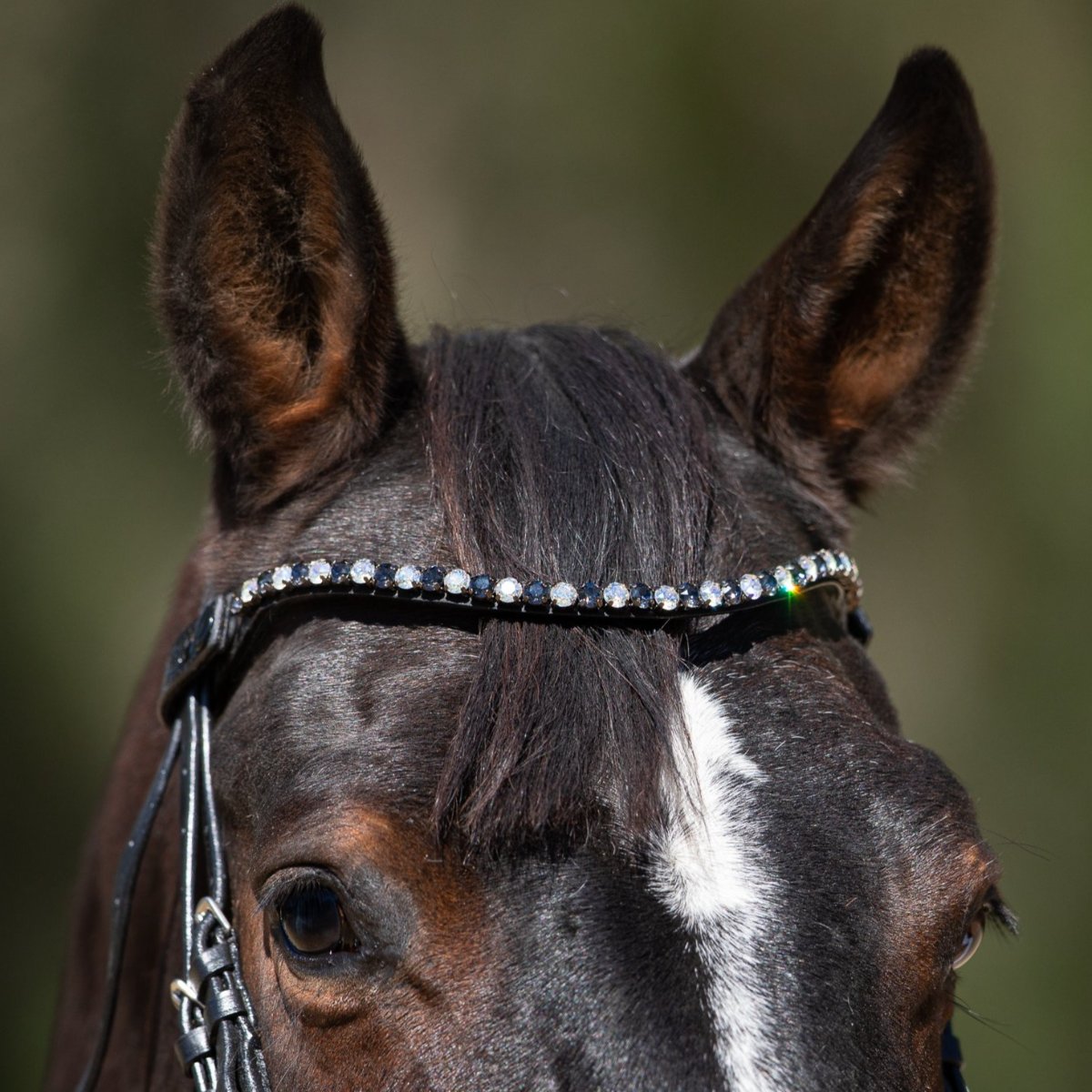 NQP Sophie - Black Patent Leather Snaffle Conical Bridle