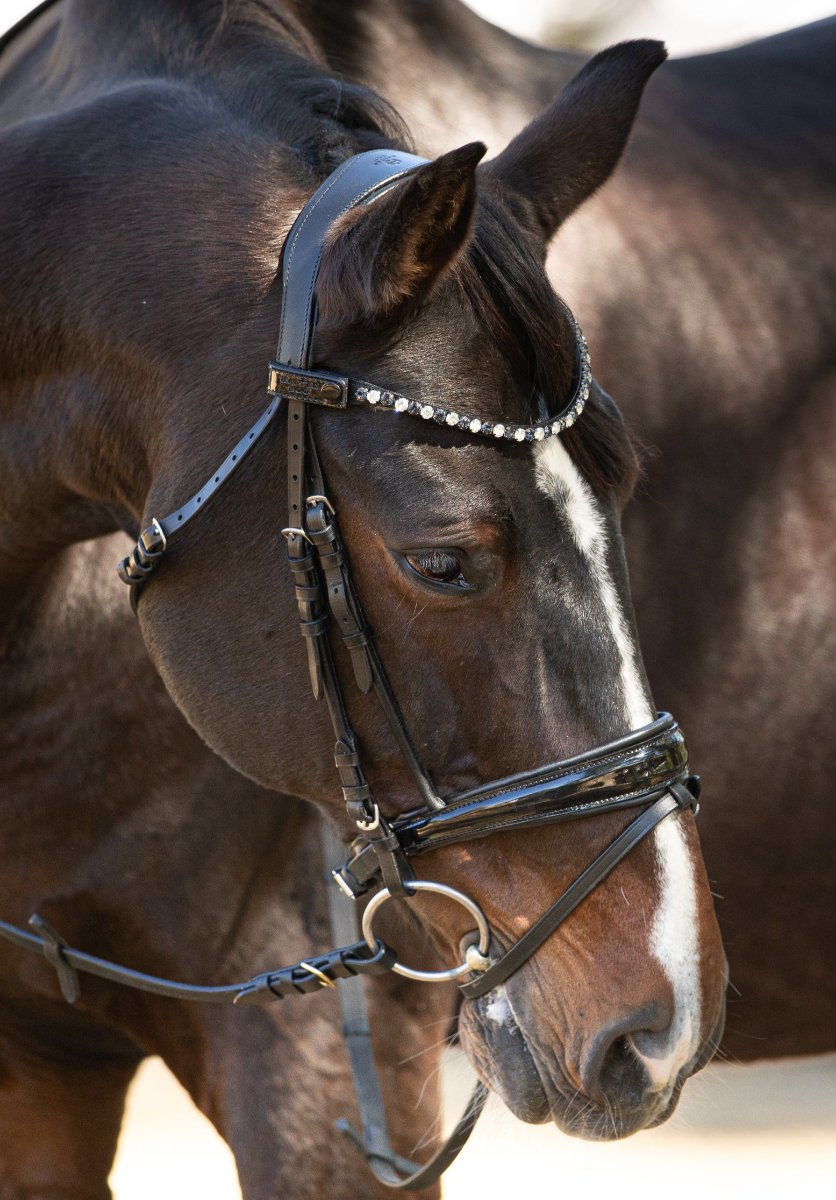 NQP Sophie - Black Patent Leather Snaffle Conical Bridle