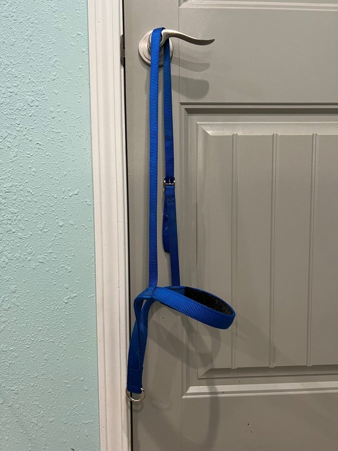 Weaver Noseband and Tie Down (Blue)
